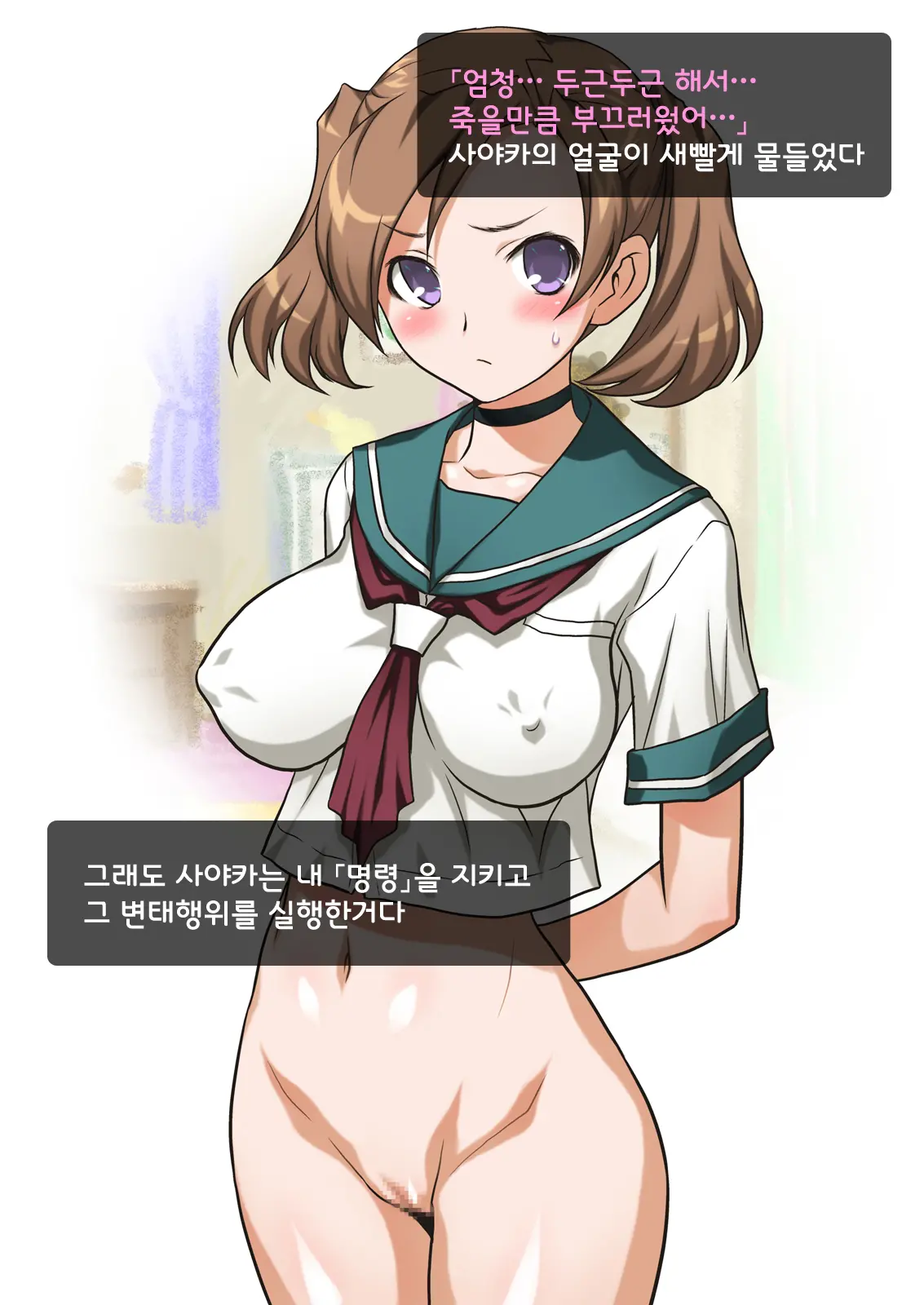 Imouto Wa Nama Onaho ~Sayaka Wa Onii-Chan Senyou Sei Gangu~